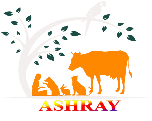 Ashray Gau Sewa Sansthan